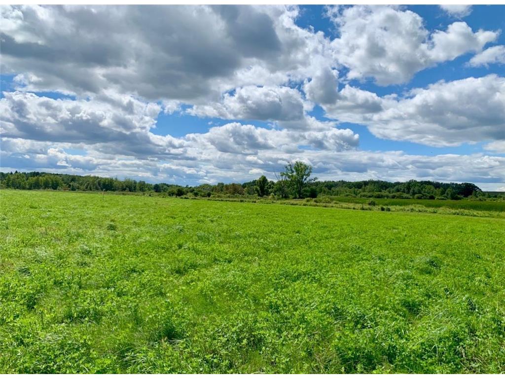 55XX NE Mayhew Lake Road Road NE Sauk Rapids MN 56379 7039521 image15