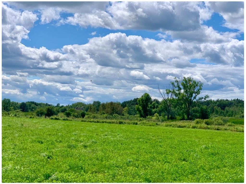 55XX NE Mayhew Lake Road Road NE Sauk Rapids MN 56379 7039521 image16
