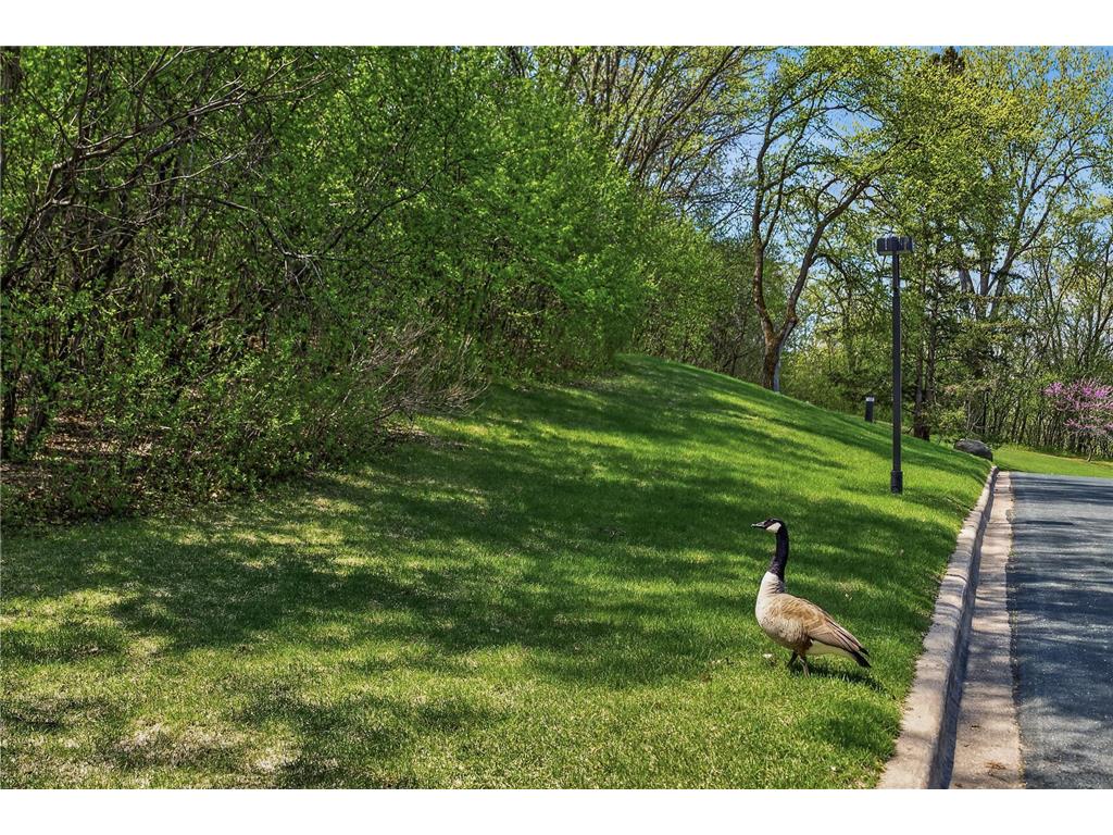 5601 Dewey Hill Road #119 Edina MN 55439 7065670 image61
