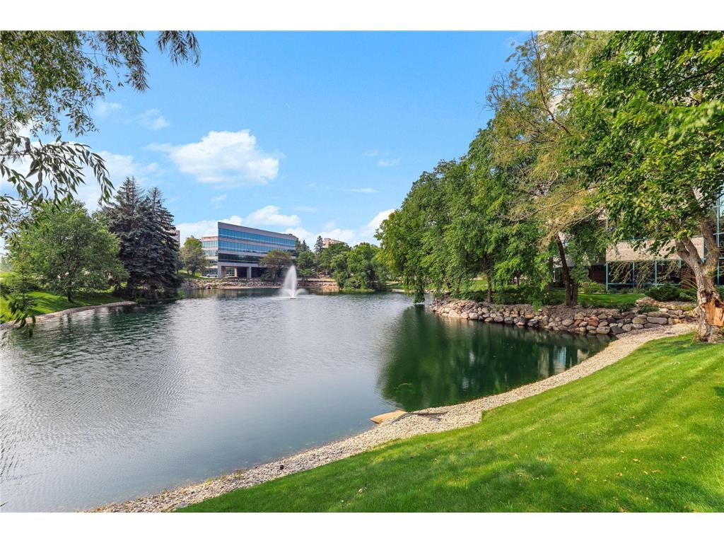 5601 Smetana Drive #1010 Minnetonka MN 55343 6765489 image31