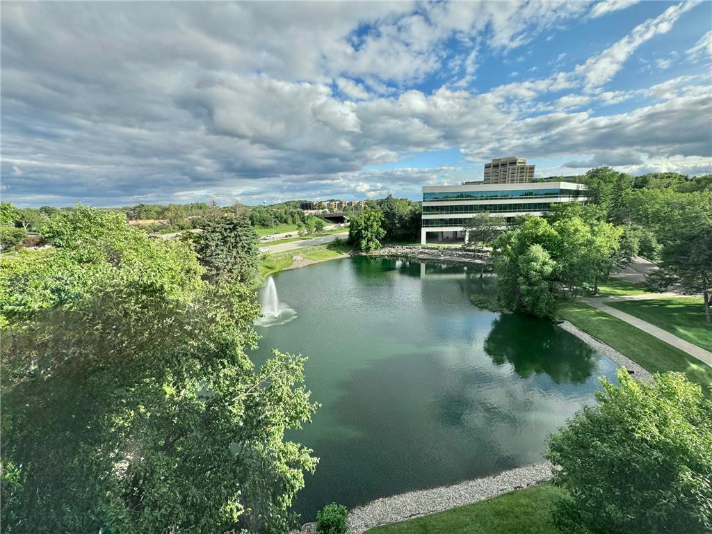 5601 Smetana Drive #407 Minnetonka MN 55343 6796977 image21