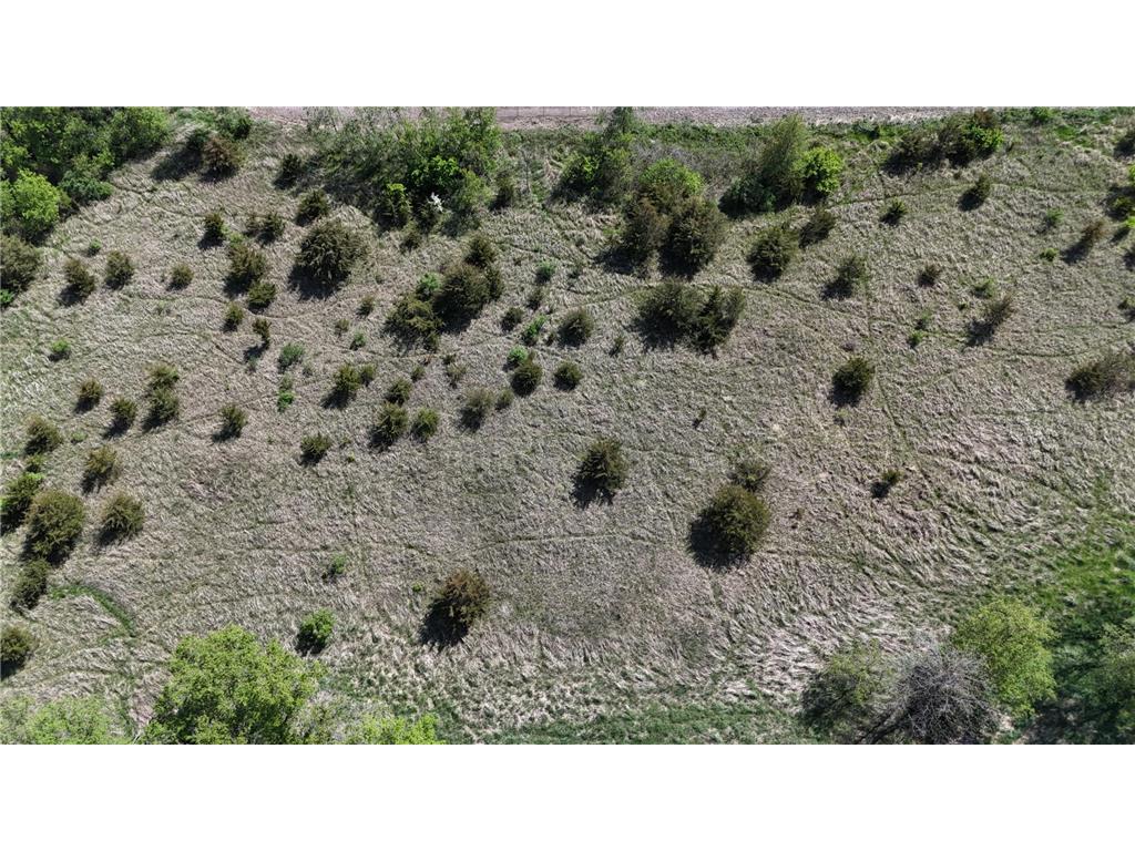 56060 375th Avenue Zumbro Twp MN 55906 6674848 image21