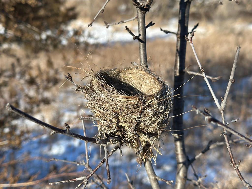 56060 375th Avenue Zumbro Twp MN 55906 6674848 image27