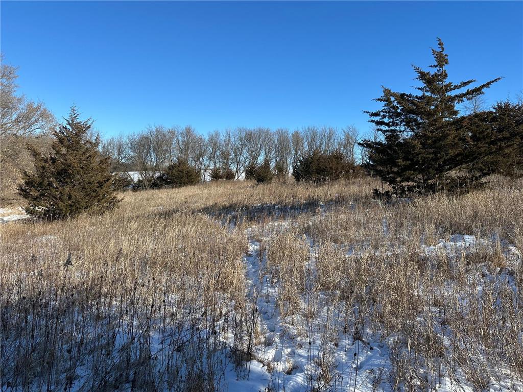 56060 375th Avenue Zumbro Twp MN 55906 6674848 image28