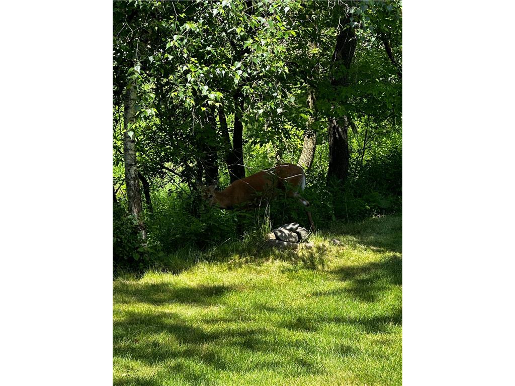 561 Deer Ridge Lane S Maplewood MN 55119 7036574 image43