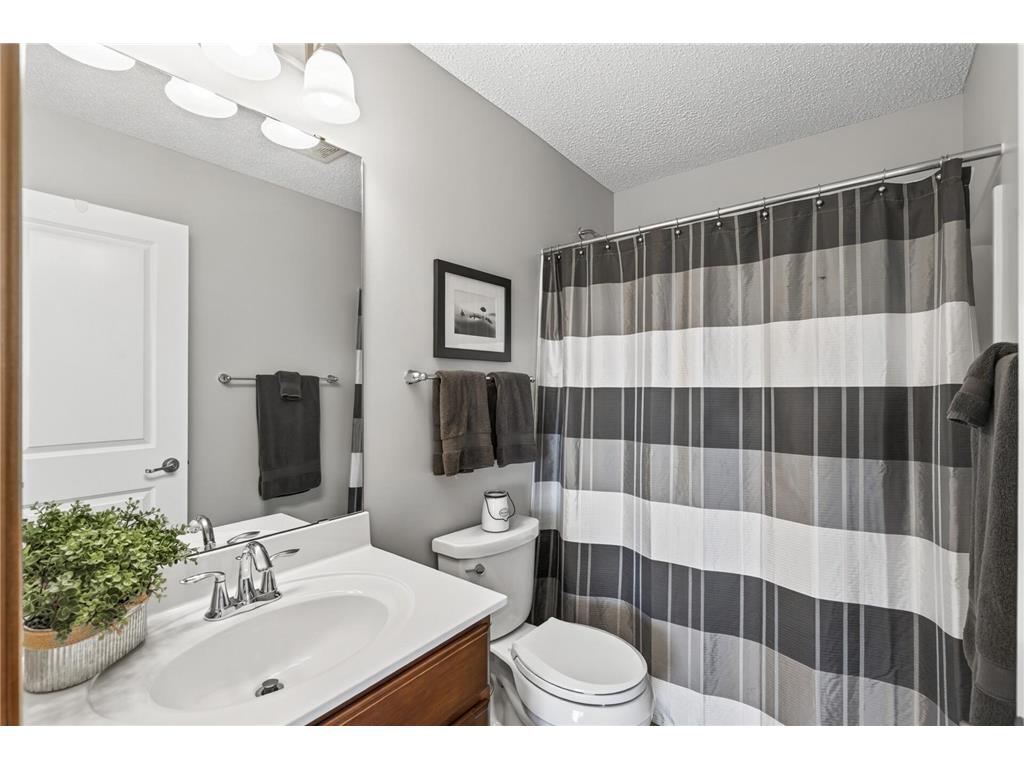 5610 154th Lane NW Ramsey MN 55303 7064297 image16