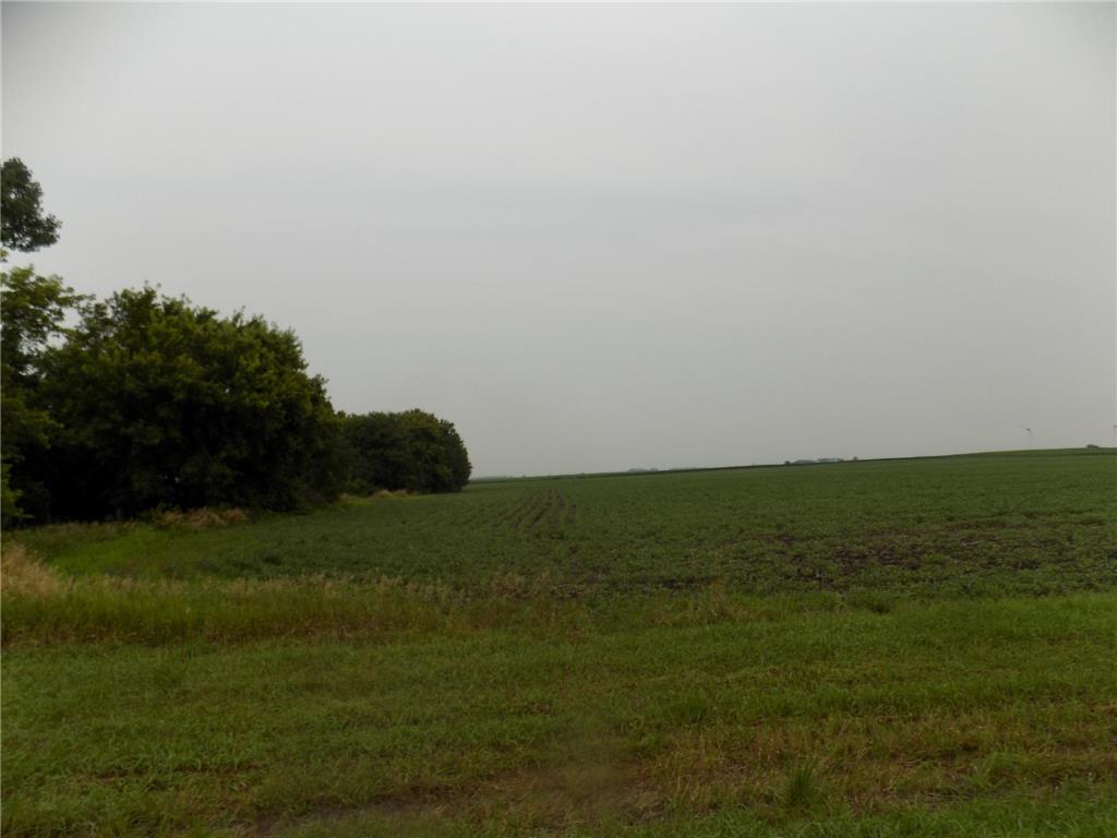 56118 820th Street Jackson MN 56143 7019948 image3