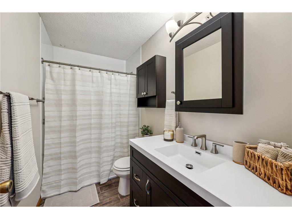 5612 164th Avenue NW Ramsey MN 55303 6793499 image15