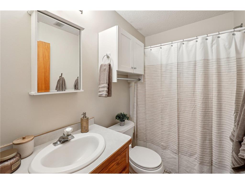 5612 164th Avenue NW Ramsey MN 55303 6793499 image31