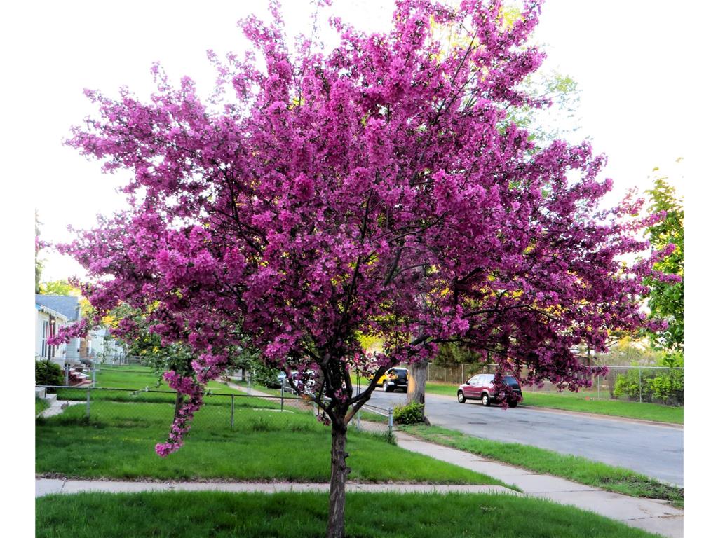 5616 46th Avenue S Minneapolis MN 55417 6824552 image40