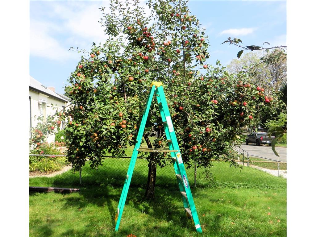 5616 46th Avenue S Minneapolis MN 55417 6824552 image42