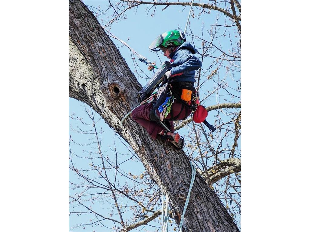 5616 46th Avenue S Minneapolis MN 55417 6824552 image43