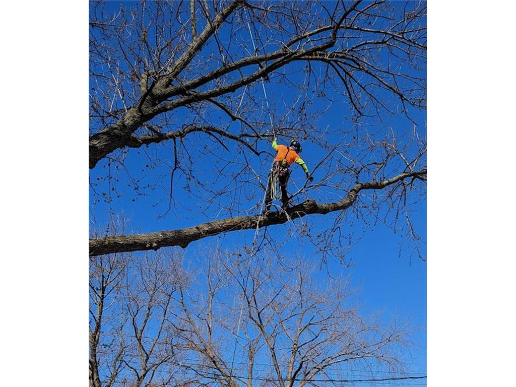 5616 46th Avenue S Minneapolis MN 55417 6824552 image44