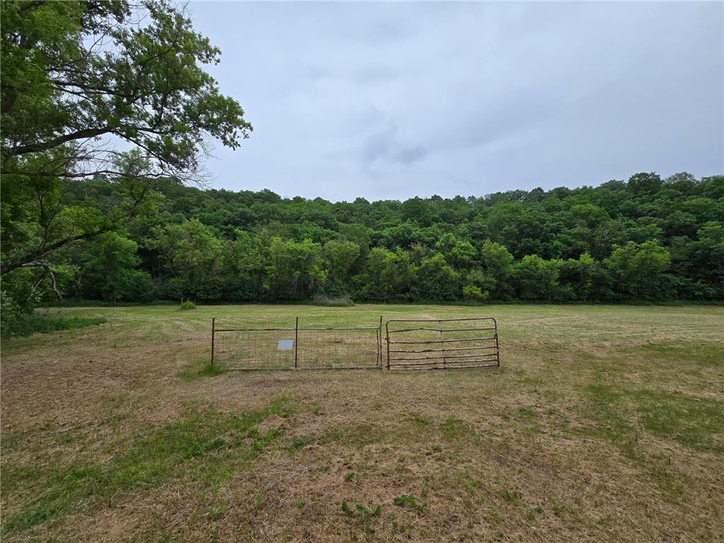 56160 County Road 21 Mazeppa MN 55956 7077882 image3