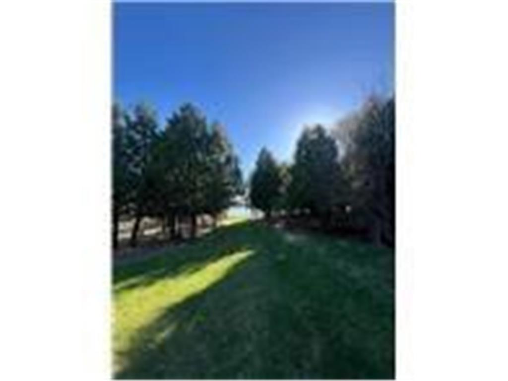 56161 Whitefish Trail Max Twp MN 56659 - Whitefish 7082491 image22