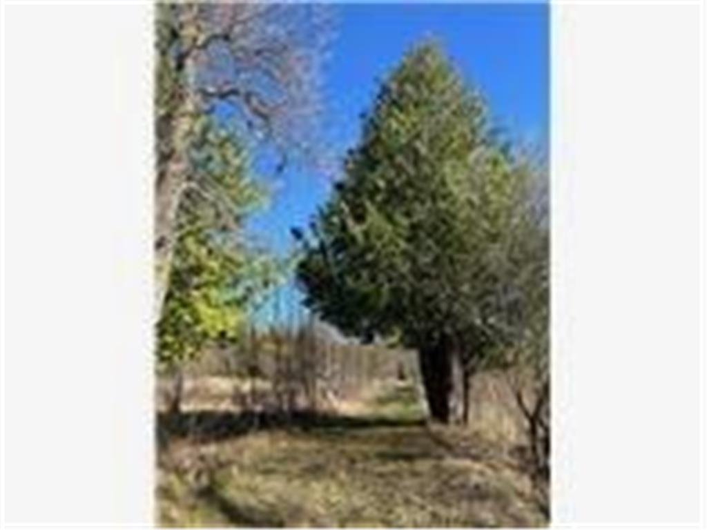 56161 Whitefish Trail Max Twp MN 56659 - Whitefish 7082491 image25