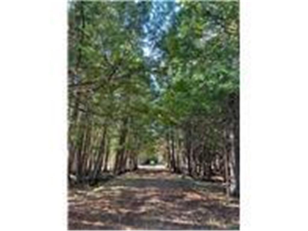 56161 Whitefish Trail Max Twp MN 56659 - Whitefish 7082491 image28