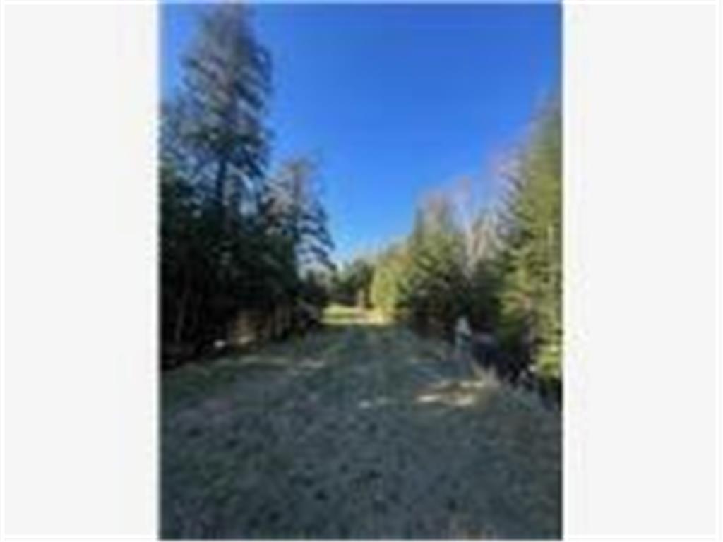 56161 Whitefish Trail Max Twp MN 56659 - Whitefish 7082491 image29