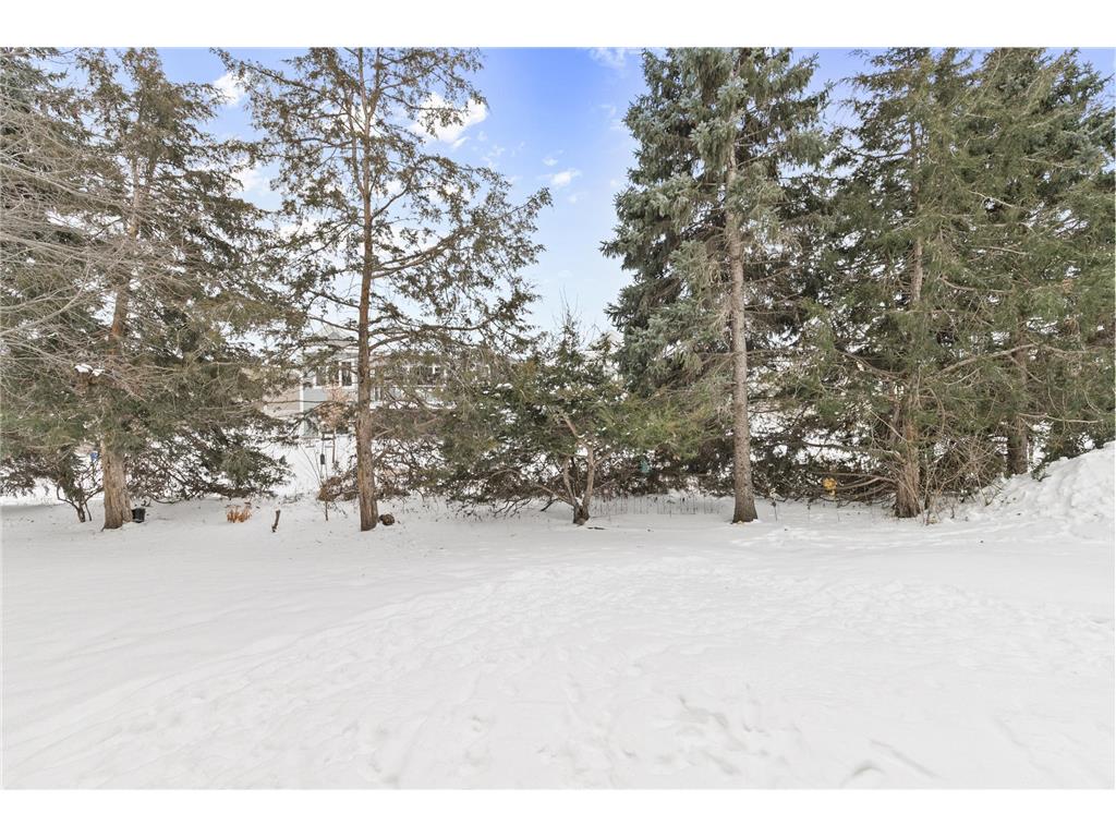 5617 138th Street N Hugo MN 55038 7024204 image26