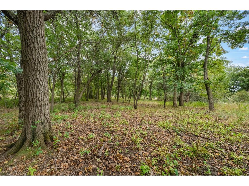 561X Heather Ridge Court Shoreview MN 55126 6643697 image23