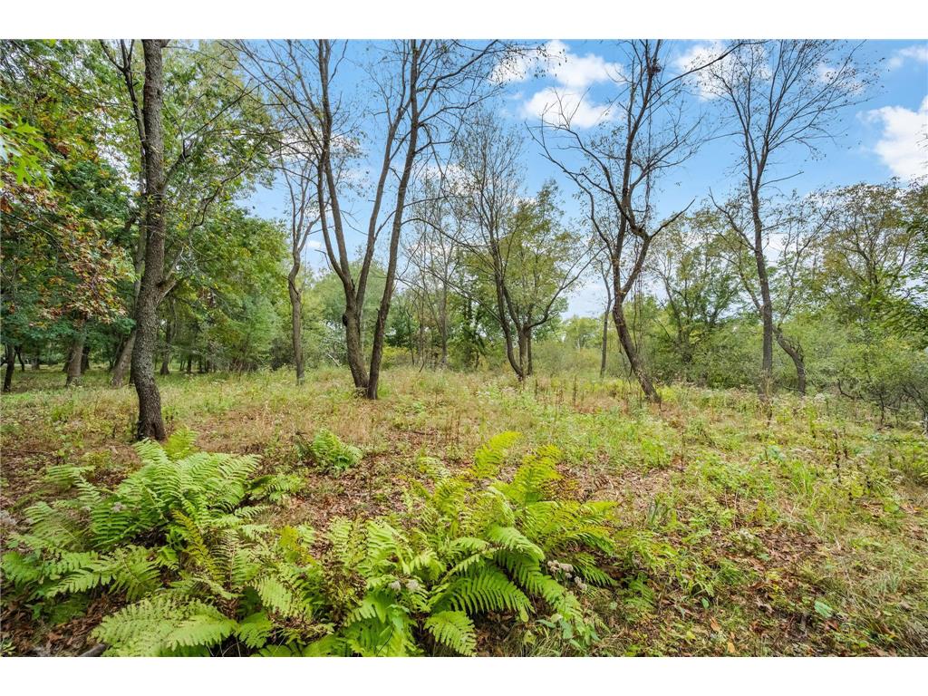 561X Heather Ridge Court Shoreview MN 55126 6643697 image24