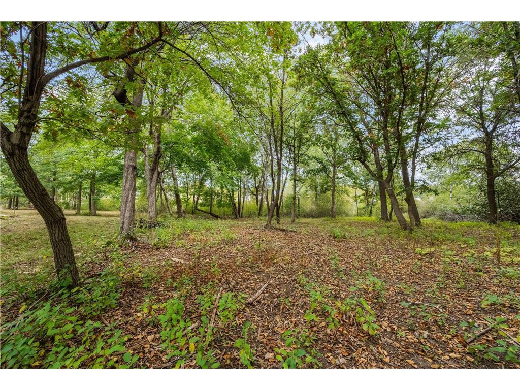 561X Heather Ridge Court Shoreview MN 55126 6825660 image24