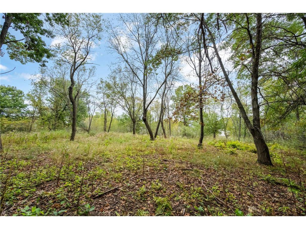 561X Heather Ridge Court Shoreview MN 55126 6825660 image26