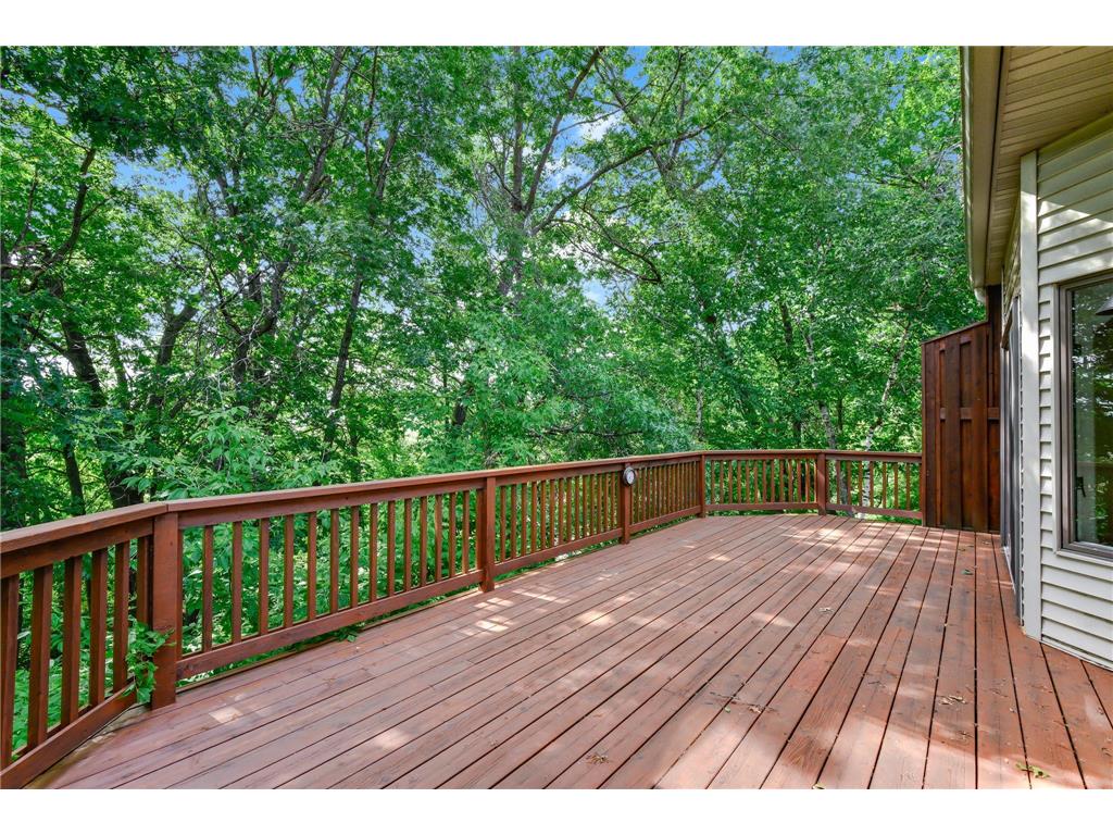 562 Deer Ridge Lane S Maplewood MN 55119 7093831 image18