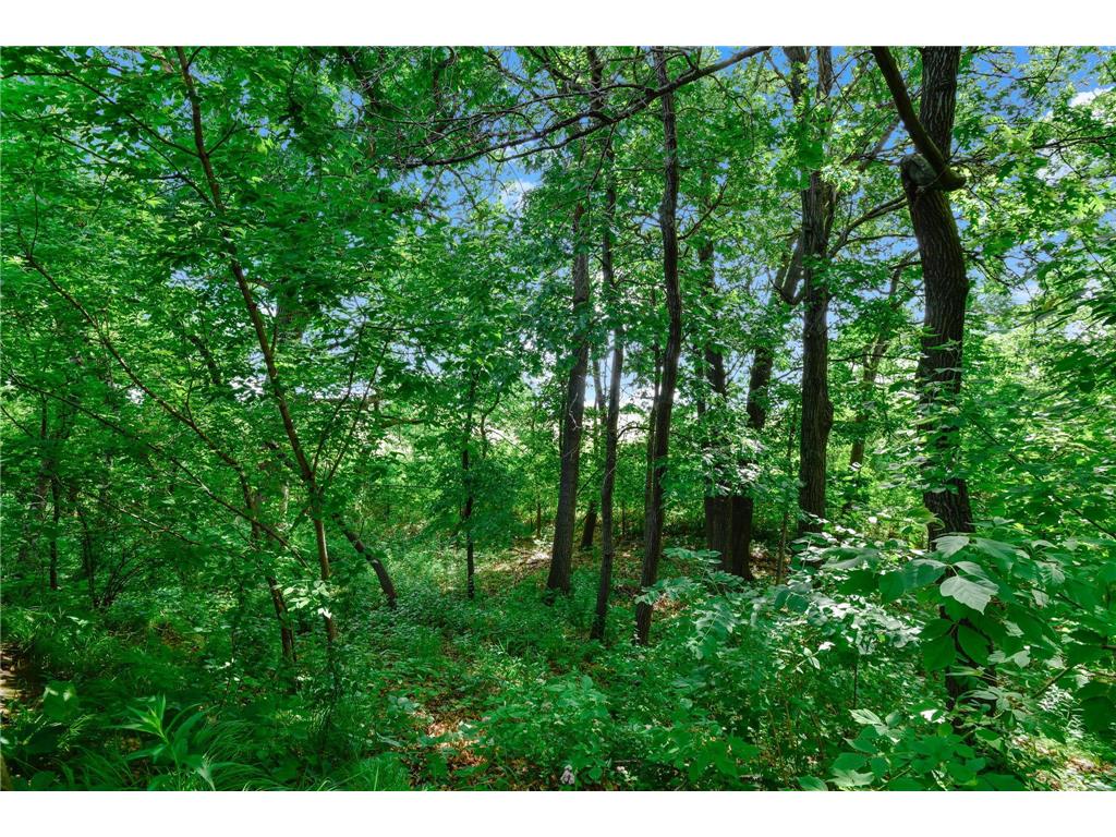 562 Deer Ridge Lane S Maplewood MN 55119 7093831 image3