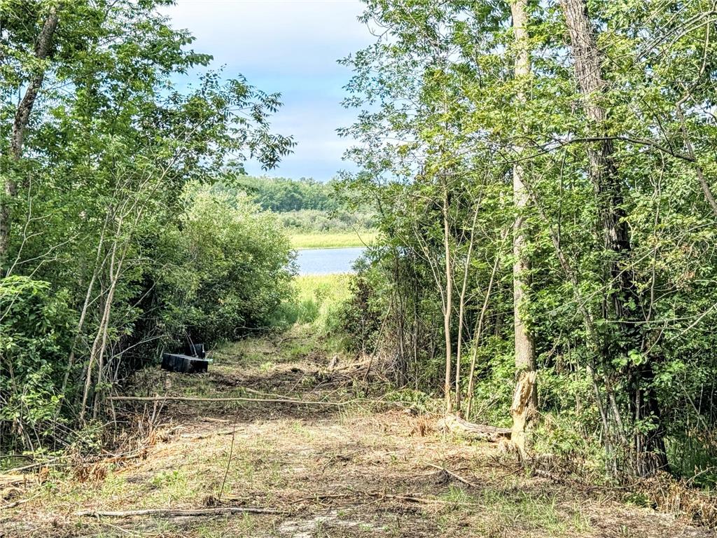 5625 Rice Lake Road NE Bemidji MN 56630 - Little Rice Lake 6762575 image24