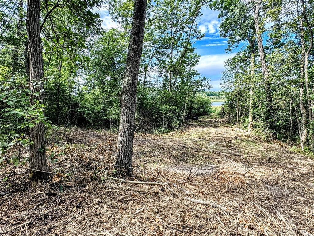 5625 Rice Lake Road NE Bemidji MN 56630 - Little Rice Lake 6762575 image27