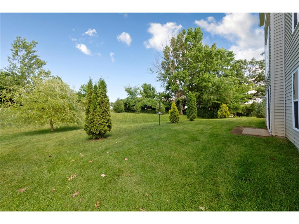 563 Summit Avenue Dundas MN 55019 6811192 image9