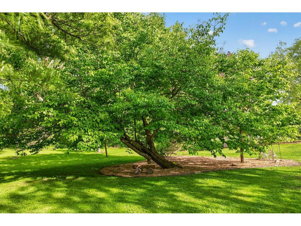 5633 Saint Mary Drive NW Rochester MN 55901 7087165 image66