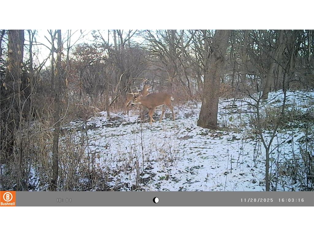 5633 Saint Mary Drive NW Rochester MN 55901 7087165 image71
