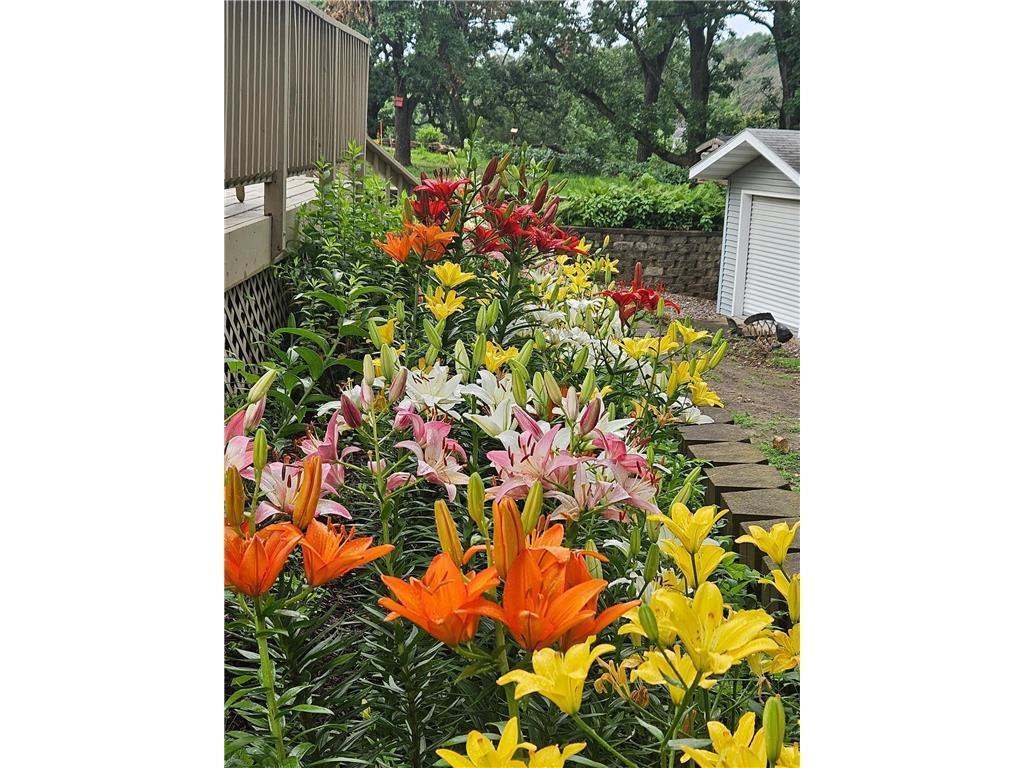 56381 400th Avenue Zumbro Falls MN 55991 - Zumbro 7038332 image28