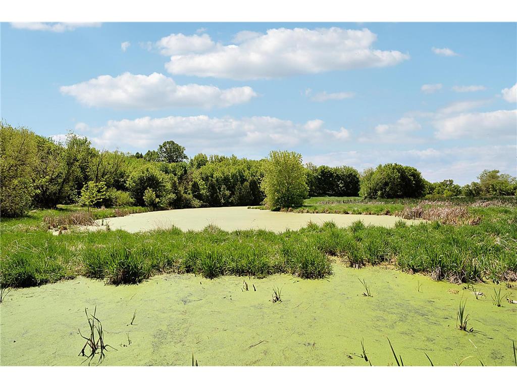 5641 Meadow Lane Elko New Market MN 55020 7082567 image97