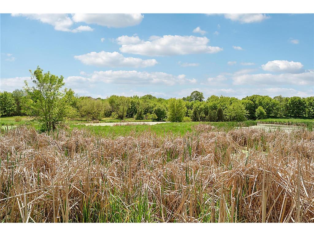 5641 Meadow Lane Elko New Market MN 55020 7082567 image98