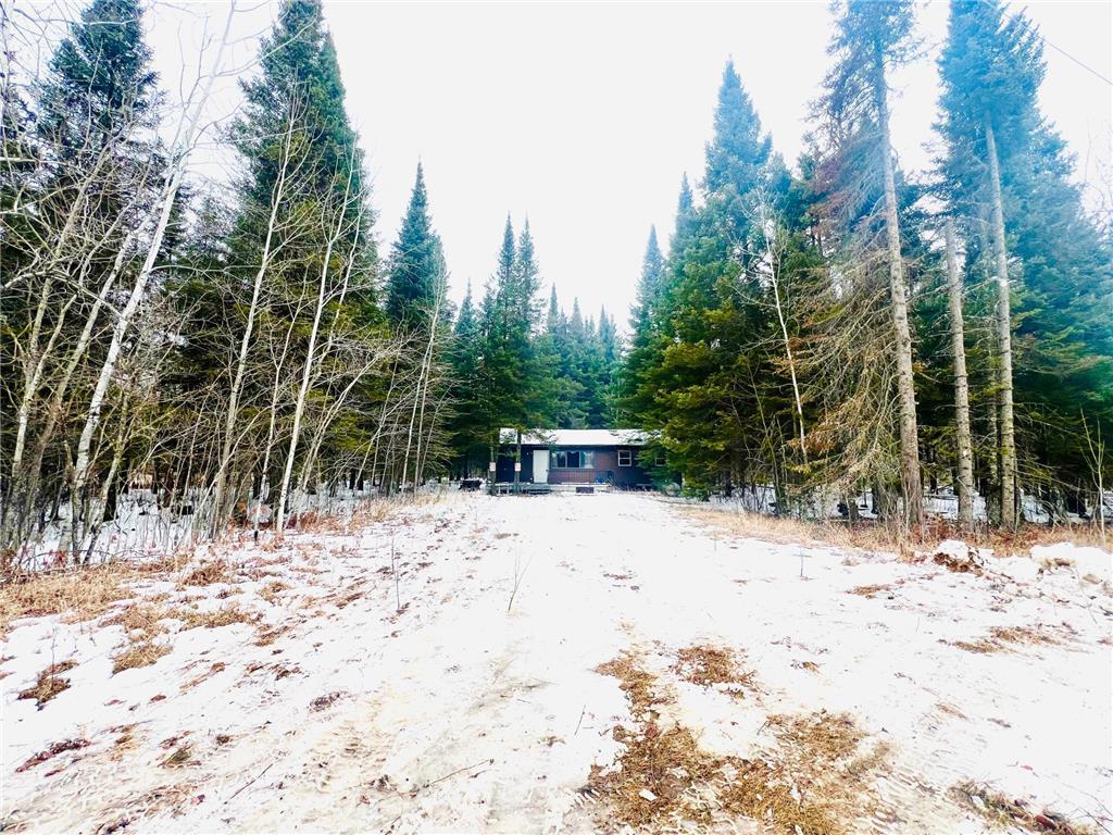 56444 Ted Pederson Road Stokes Twp MN 56628 6512584 image1