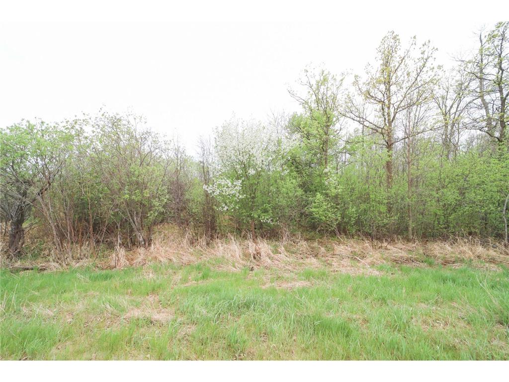 5650 25th Avenue SW Pequot Lakes MN 56472 6722131 image22