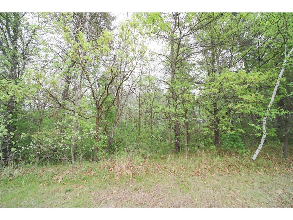 5650 25th Avenue SW Pequot Lakes MN 56472 6722131 image23