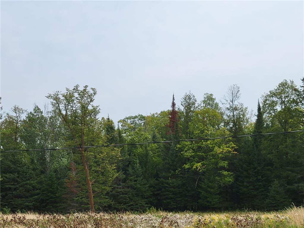 56526 Loon Avenue, McGregor, MN, 55760 MLS 6259699 Edina Realty