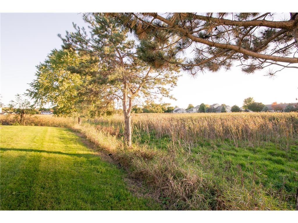 5667 Lambert Avenue NE Albertville MN 55301 6797916 image6