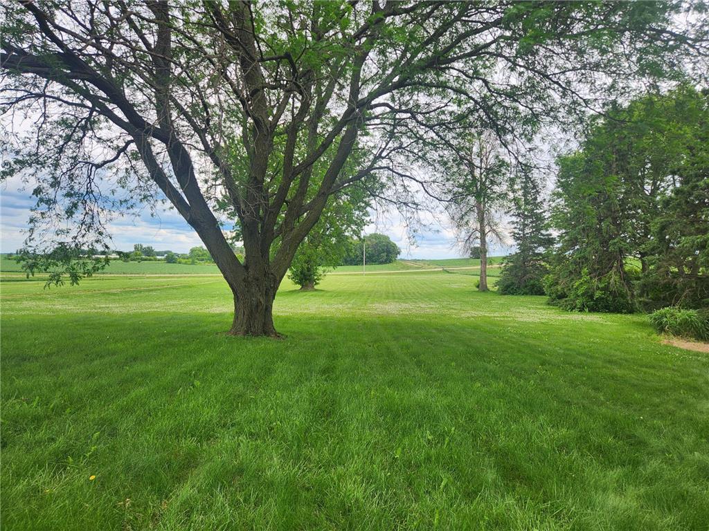 56676 412th Street Lafayette Twp MN 56073 7097518 image19