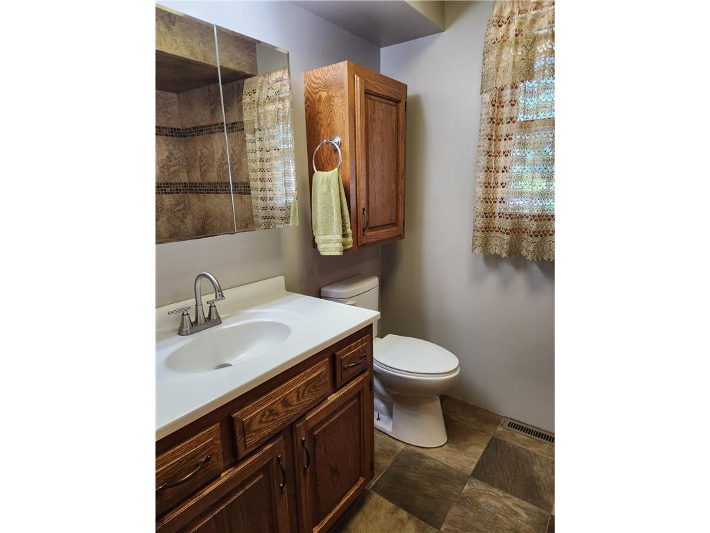 56676 412th Street Lafayette Twp MN 56073 7097518 image8