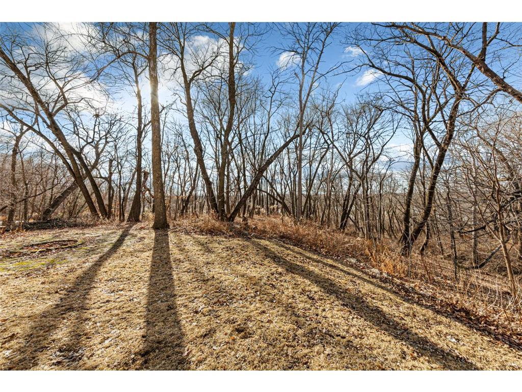 567 Forest Lane Medford MN 55049 7027436 image72