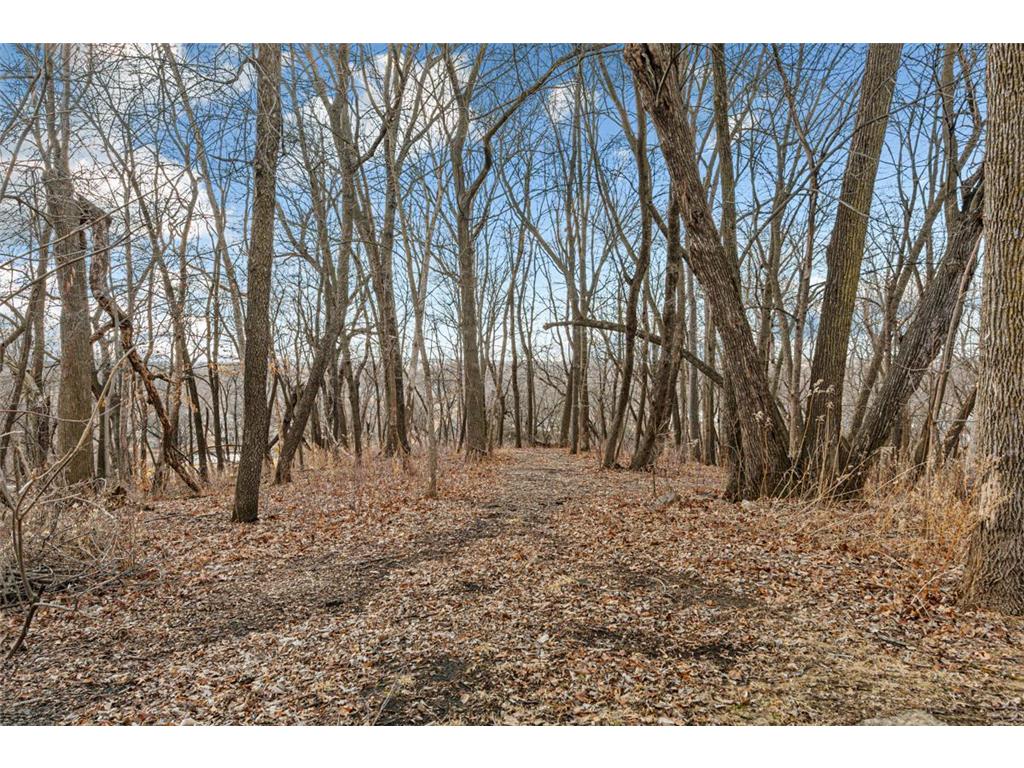 567 Forest Lane Medford MN 55049 7027436 image73