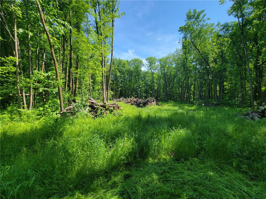 5673 Cr-23 Maple Grove Twp MN 56401 7089431 image5
