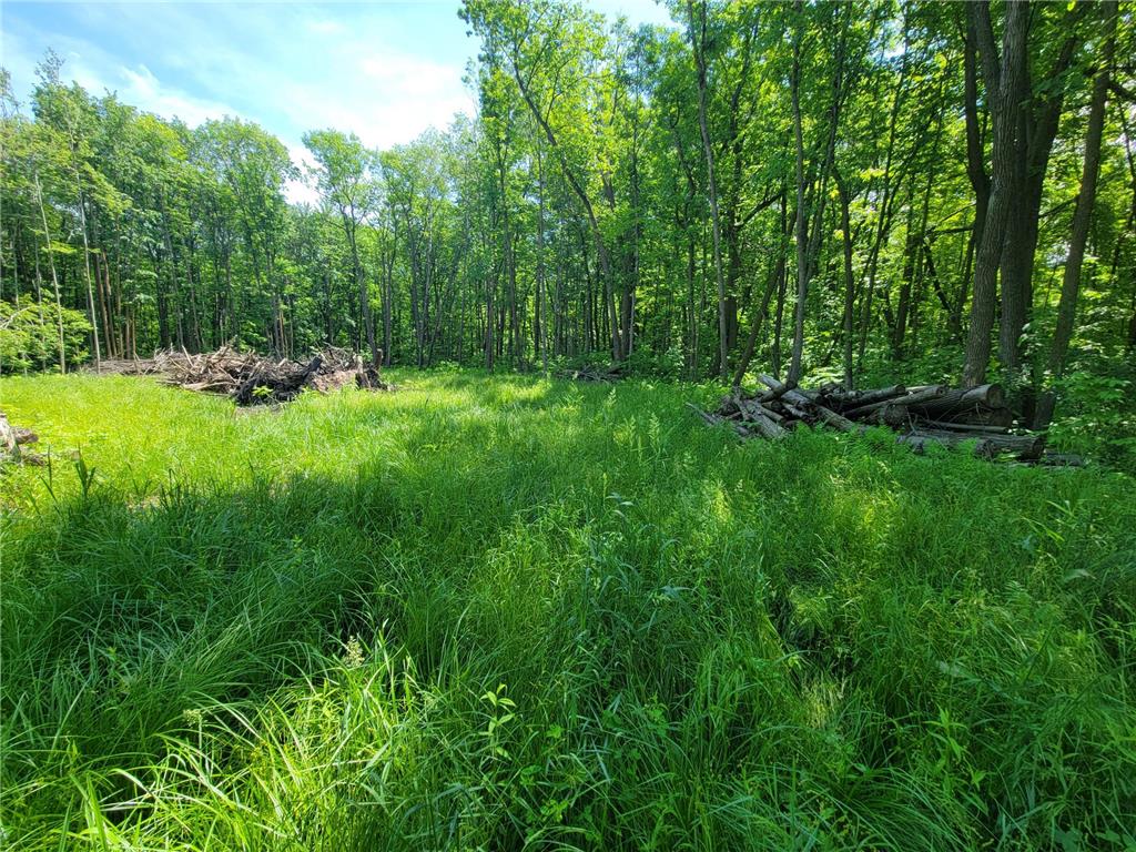 5673 Cr-23 Maple Grove Twp MN 56401 7089431 image6