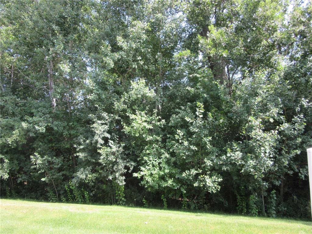 5675 200th Street W #703 Farmington MN 55024 7107878 image22