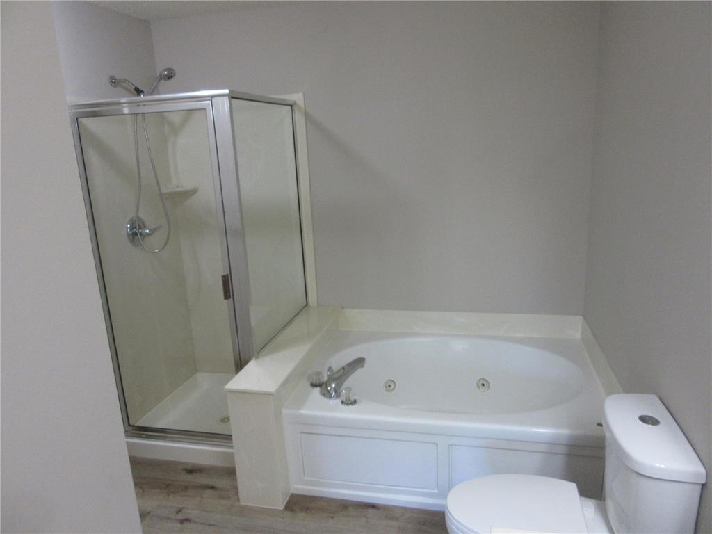 5675 200th Street W #703 Farmington MN 55024 7107878 image38